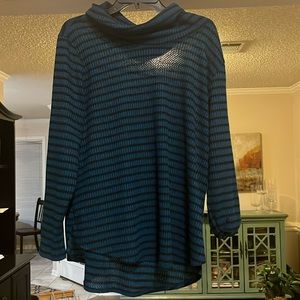 Turquoise stripped turtle neck